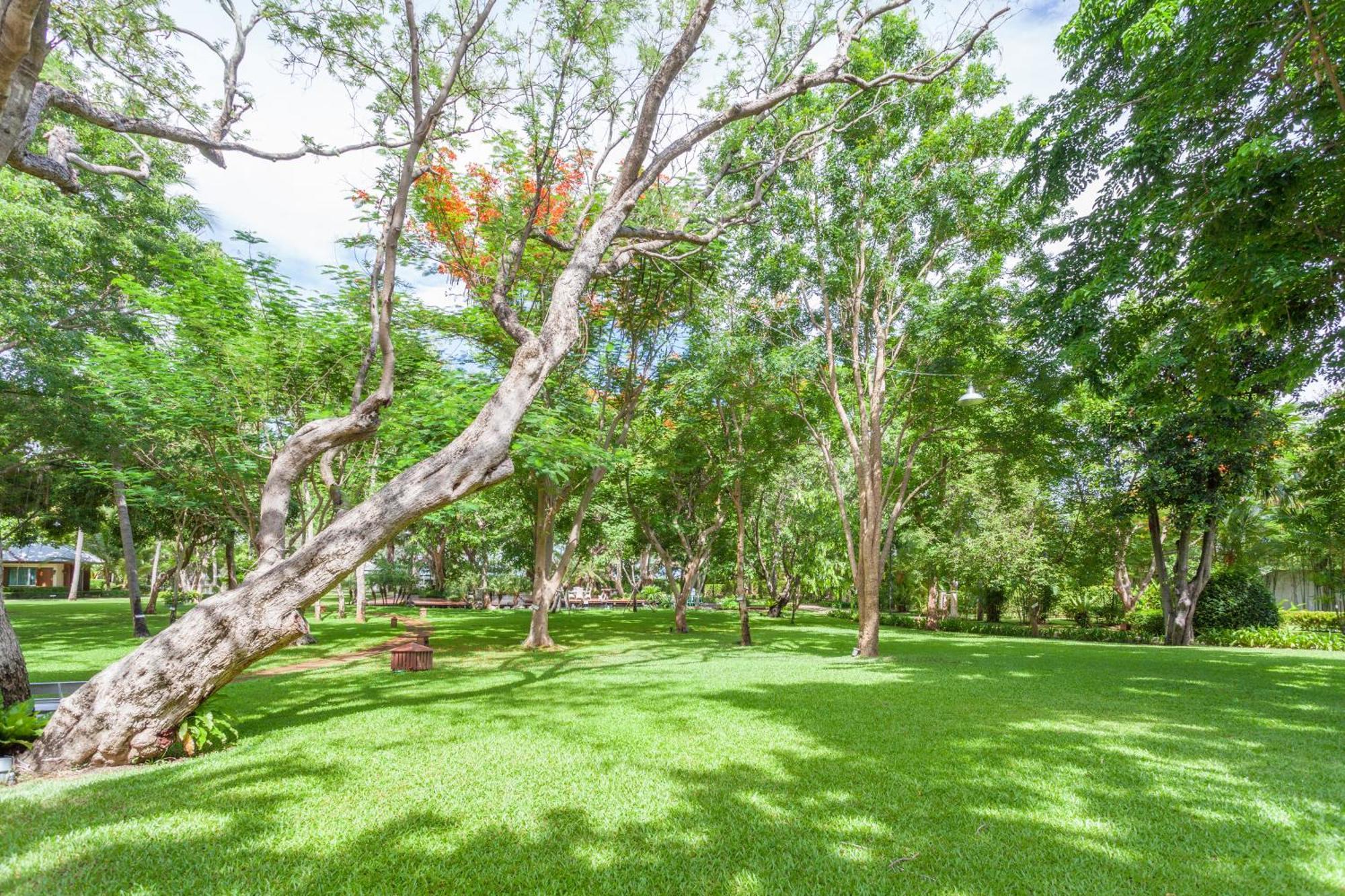 Raya Resort Beach Front - The Most Green Resort In 七岩 外观 照片